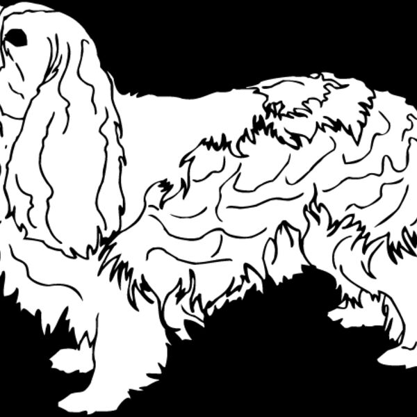 King Charles Spaniel1 Thumbnail
