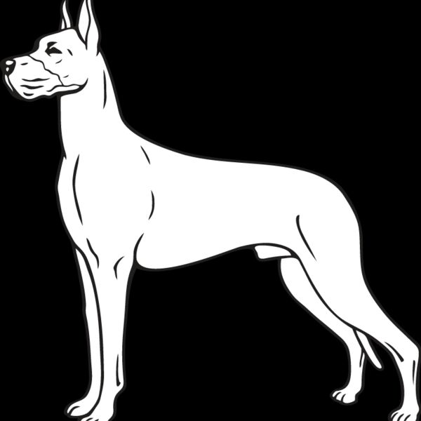 Great Dane2 Thumbnail
