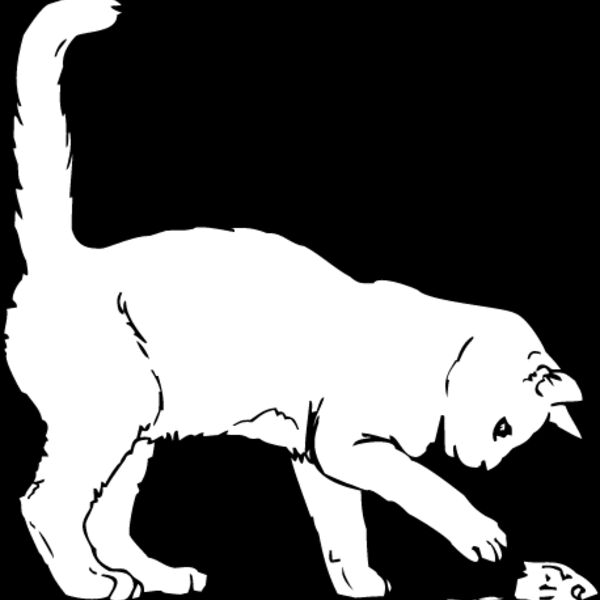 Kitten4 Thumbnail