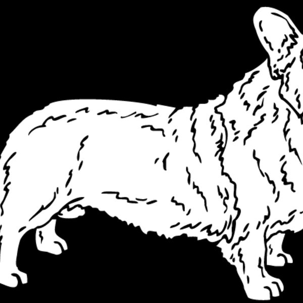 Corgi1 Thumbnail