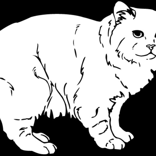Cat31 Thumbnail