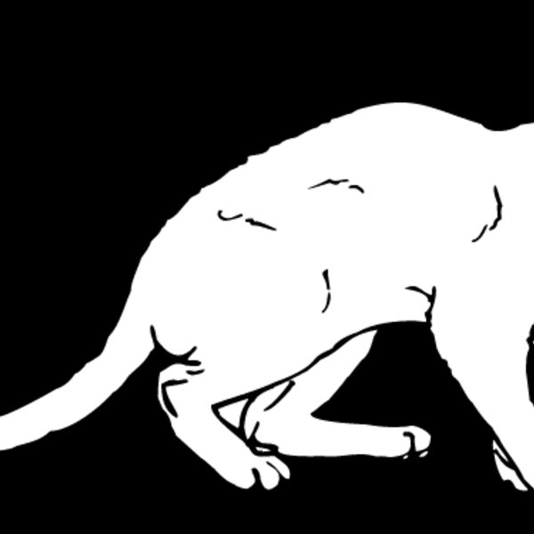 Cat32 Thumbnail