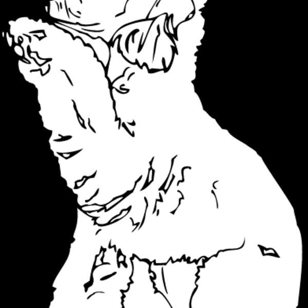 Bedlington Terrier Thumbnail