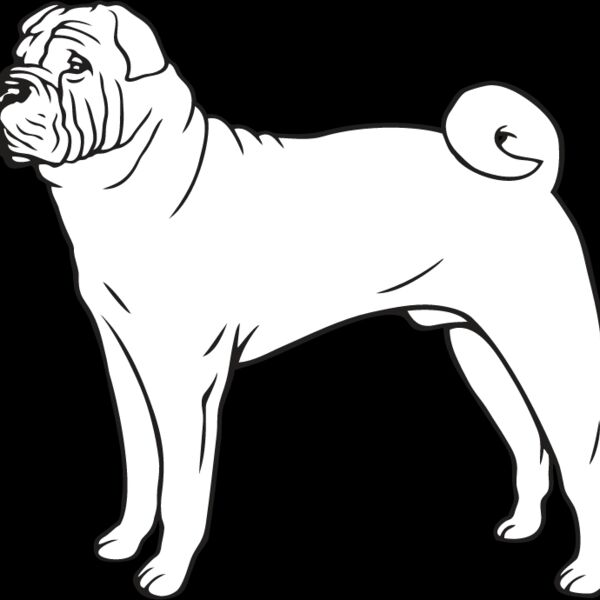 Shar Pei3 Thumbnail