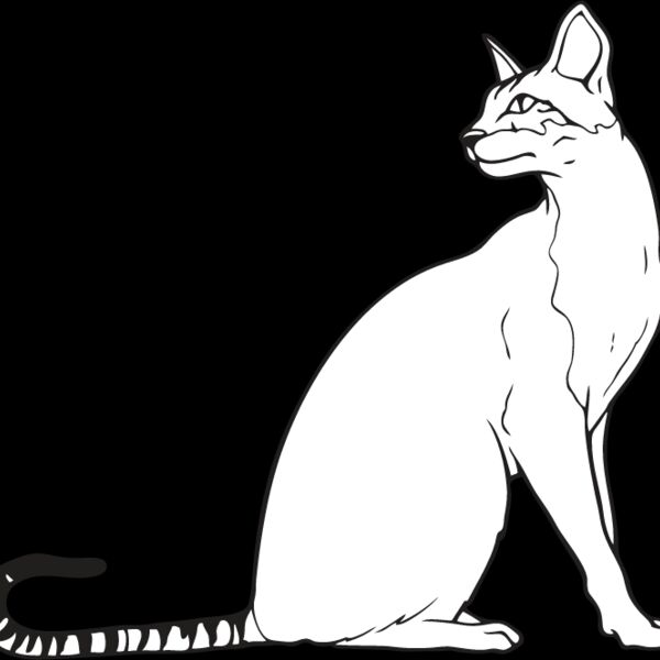 Cat28 Thumbnail