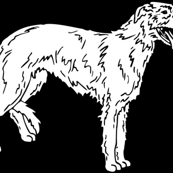 Scottish Deer Hound Thumbnail