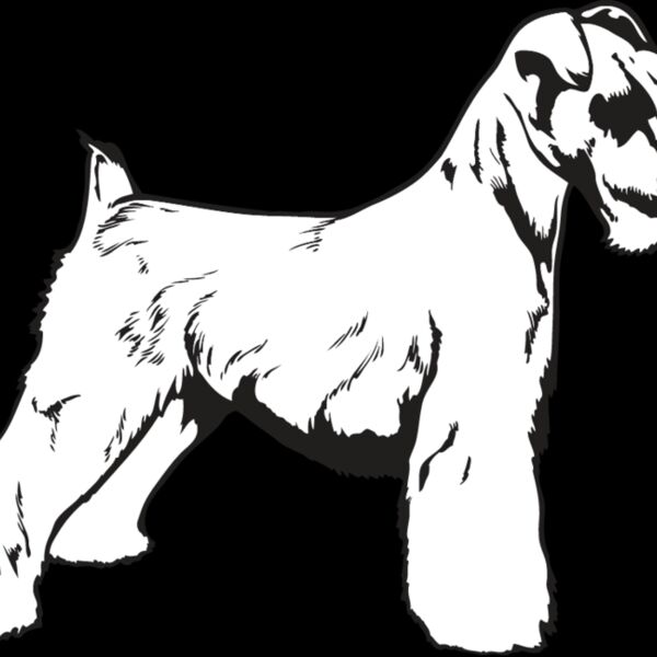 Miniature Schnauzer Thumbnail