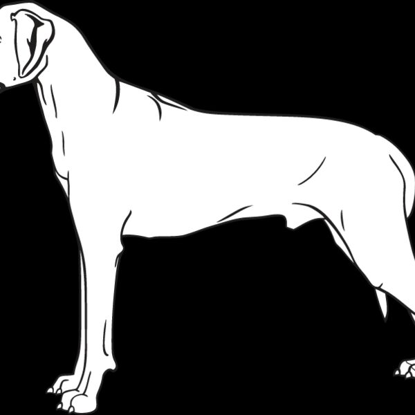 Rhodesian Ridgeback Thumbnail