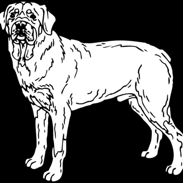 Rottweiler1 Thumbnail