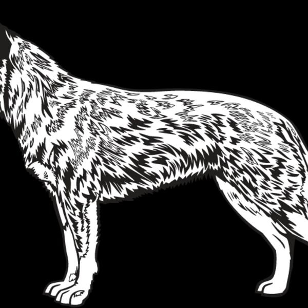 Australian Cattle Dog Thumbnail