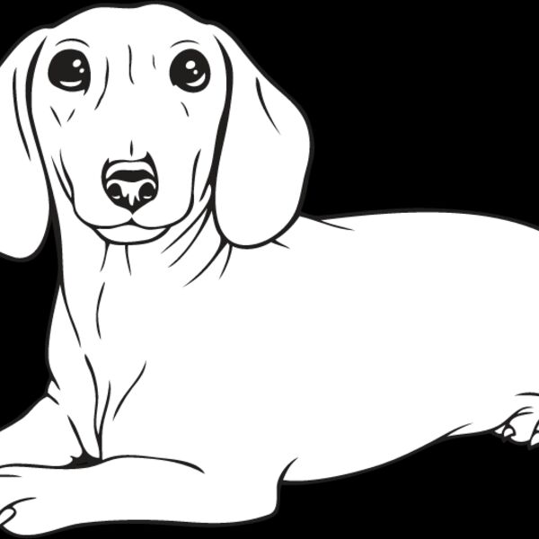 Dachshund3 Thumbnail