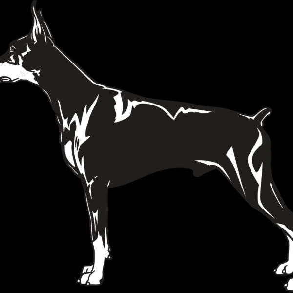 Doberman2 Thumbnail