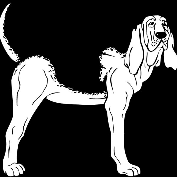 Bloodhound1 Thumbnail