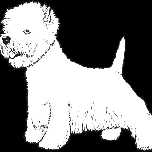 Highland Terrier2 Thumbnail