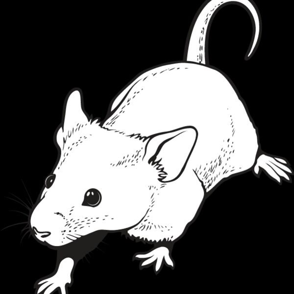 Mouse2 Thumbnail