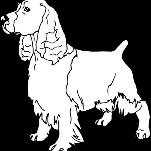 Cocker Spaniel3 Thumbnail