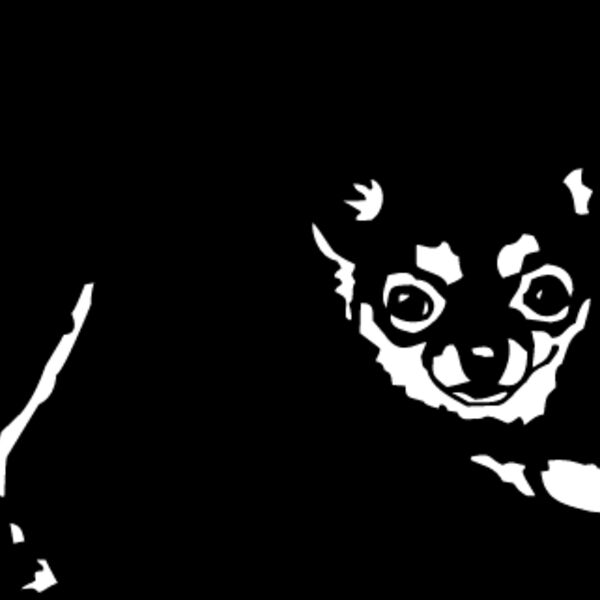 Chihuahua3 Thumbnail