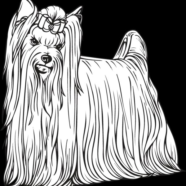 Yorkshire Terrier2 Thumbnail