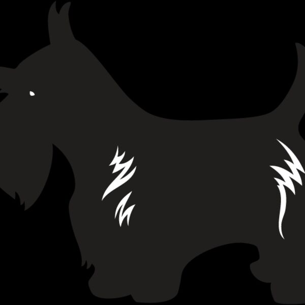Scottish Terrier3 Thumbnail