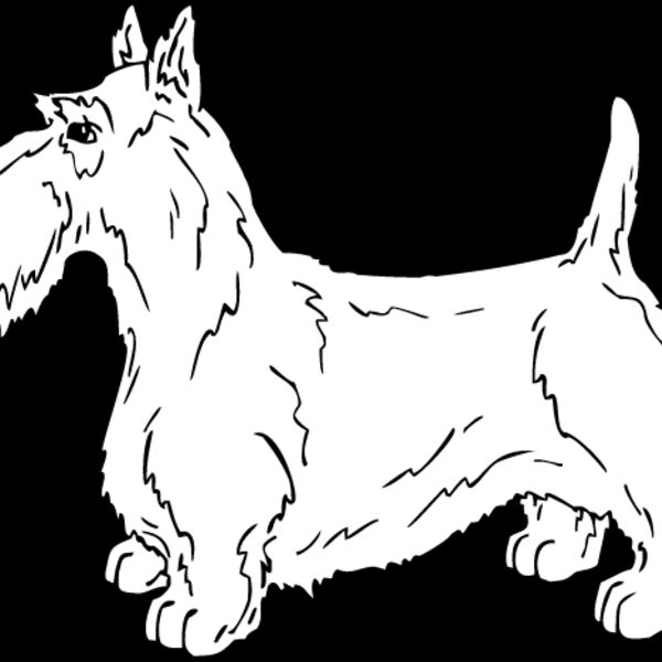 Scottish Terrier1 Thumbnail