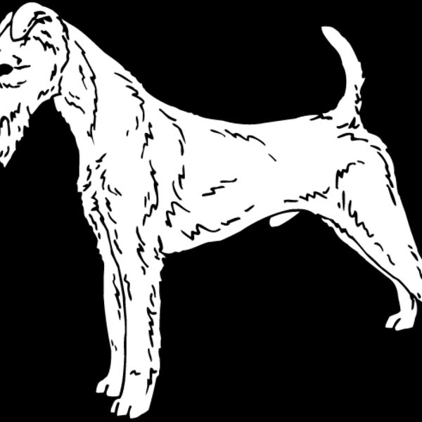 Irish Terrier Thumbnail