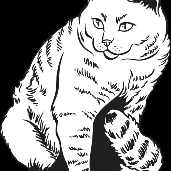 Cat17 Thumbnail