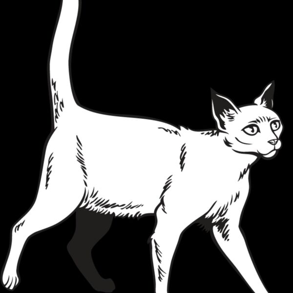 Cat43 Thumbnail