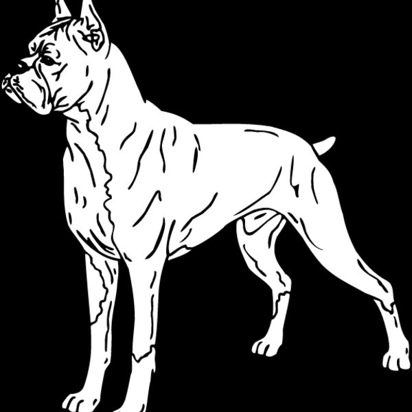 Boxer1 Thumbnail