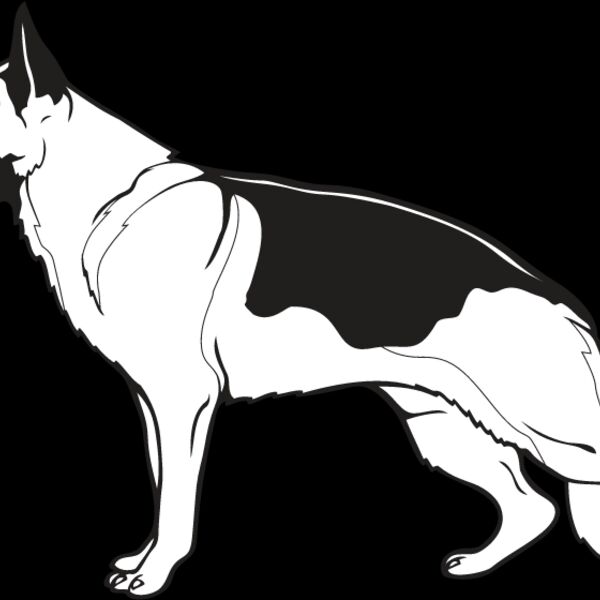 German Shepherd1 Thumbnail