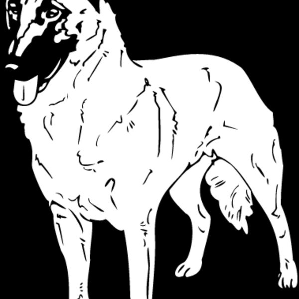 Belgian Shepherd Thumbnail