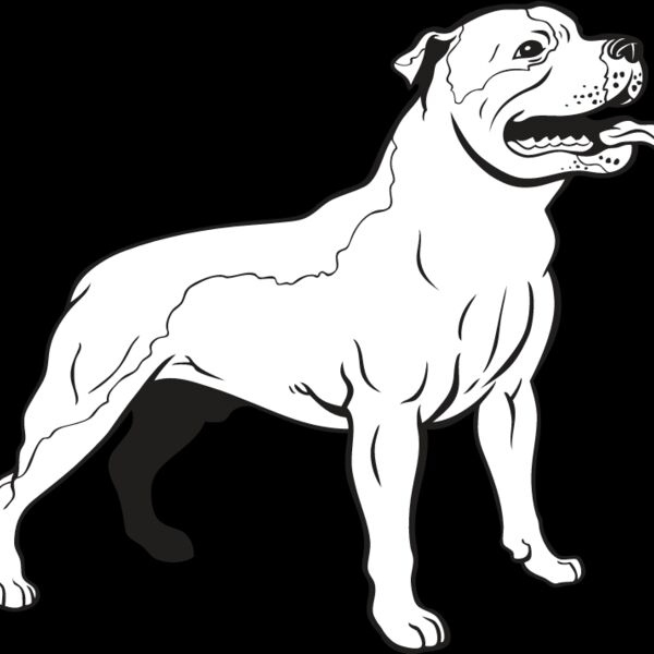 Staffordshire Bull Terrier1 Thumbnail