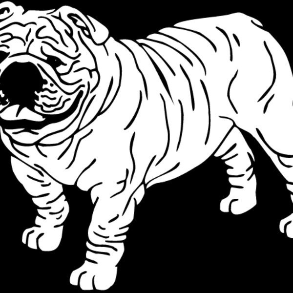 Bulldog1 Thumbnail