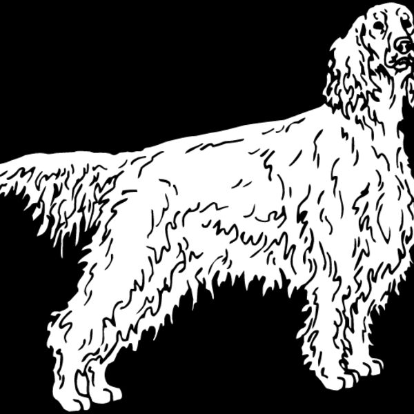 Irish Setter1 Thumbnail