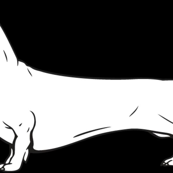 Dachshund2 Thumbnail