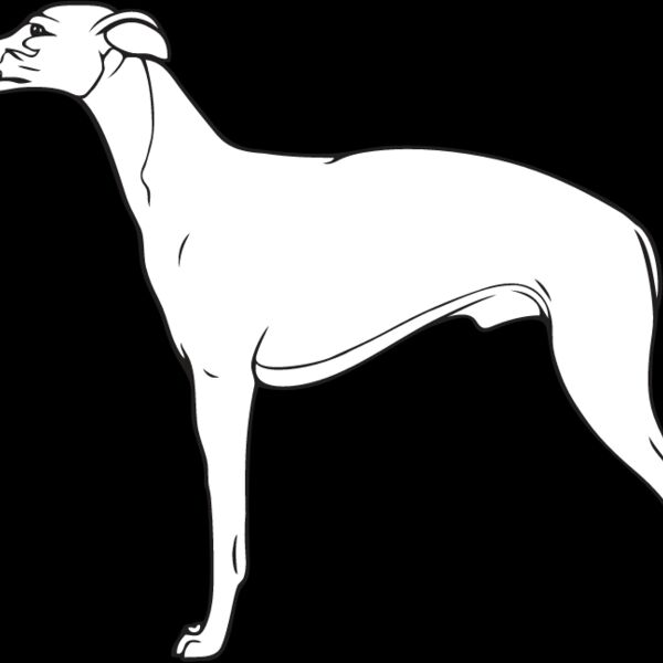 Whippet4 Thumbnail