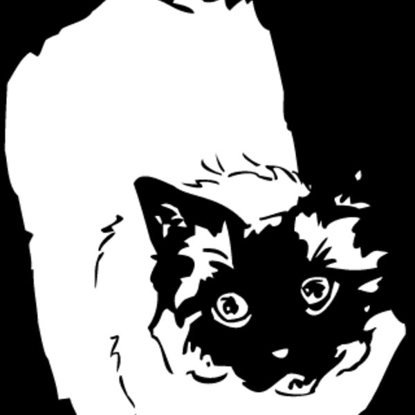 Cat42 Thumbnail