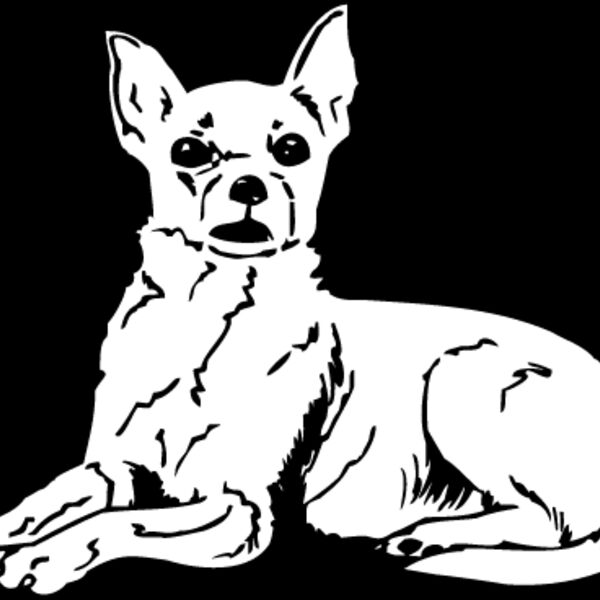 Chihuahua1 Thumbnail