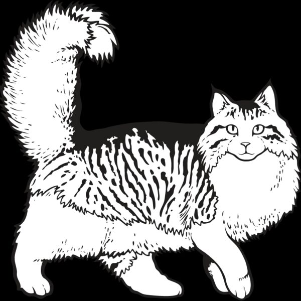 Cat24 Thumbnail