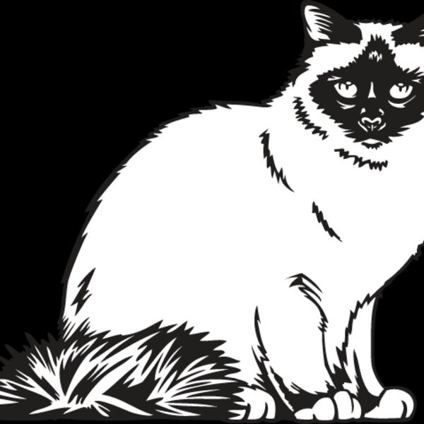 Cat13 Thumbnail