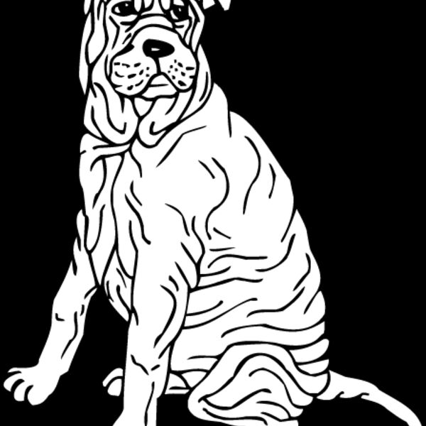 Shar Pei2 Thumbnail