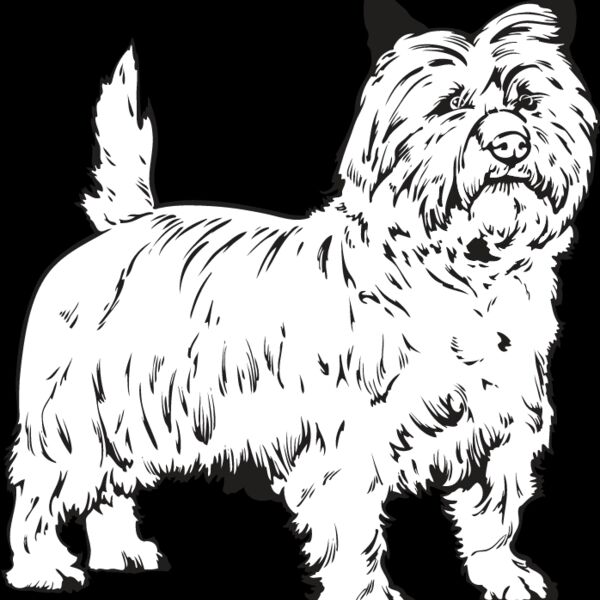 Cairn Terrier Thumbnail