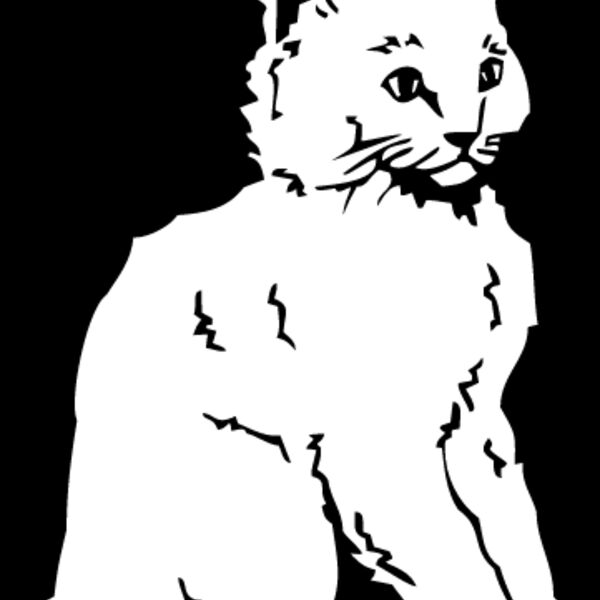 Kitten1 Thumbnail