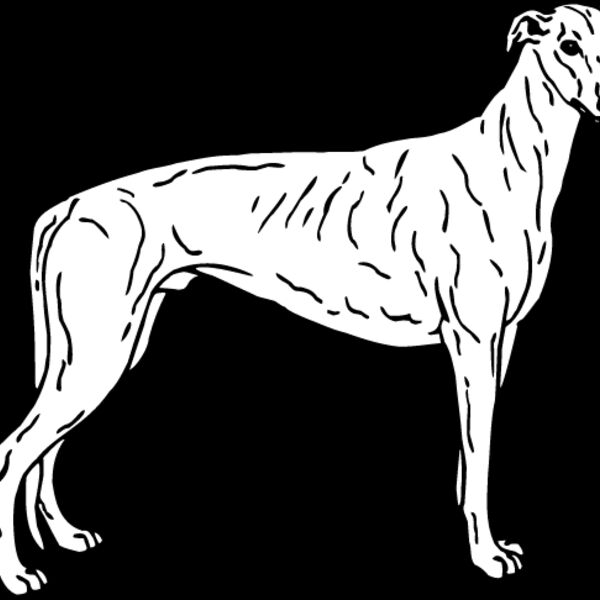 Greyhound1 Thumbnail