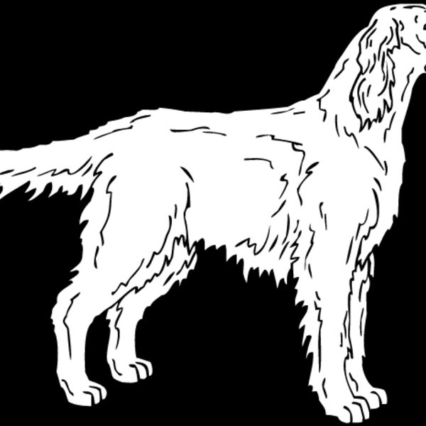 Irish Setter2 Thumbnail