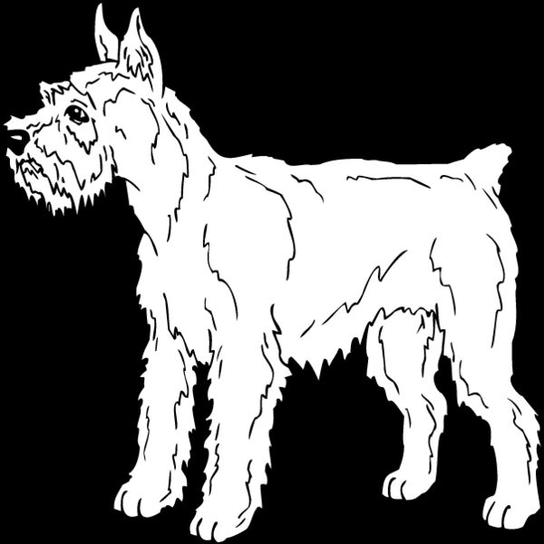 Schnauzer Thumbnail