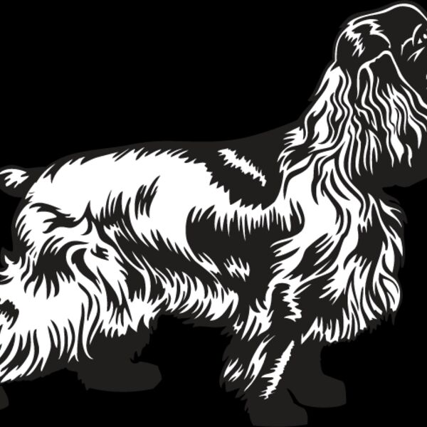 Cocker Spaniel2 Thumbnail