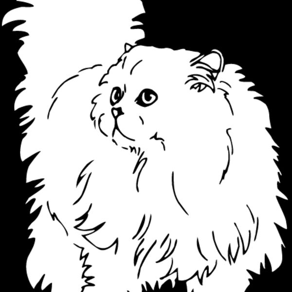 Cat25 Thumbnail