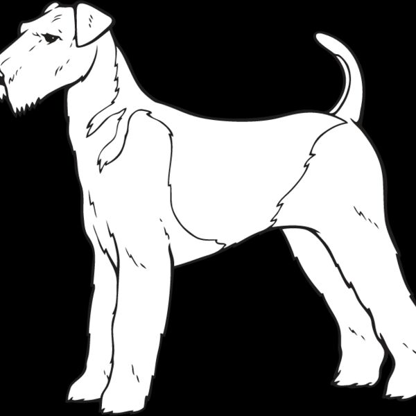 Airedale Thumbnail
