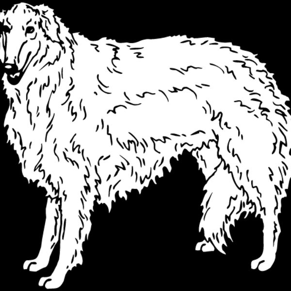 Borzoi Thumbnail