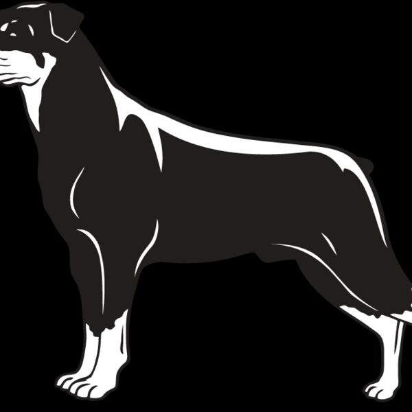 Rottweiler2 Thumbnail